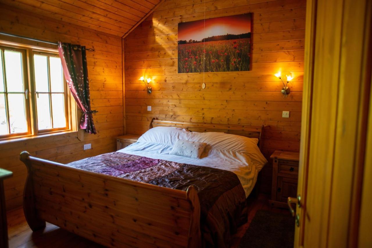 George Cabin - Log Cabin In Wales With Hot Tub Newtown  Exterior foto